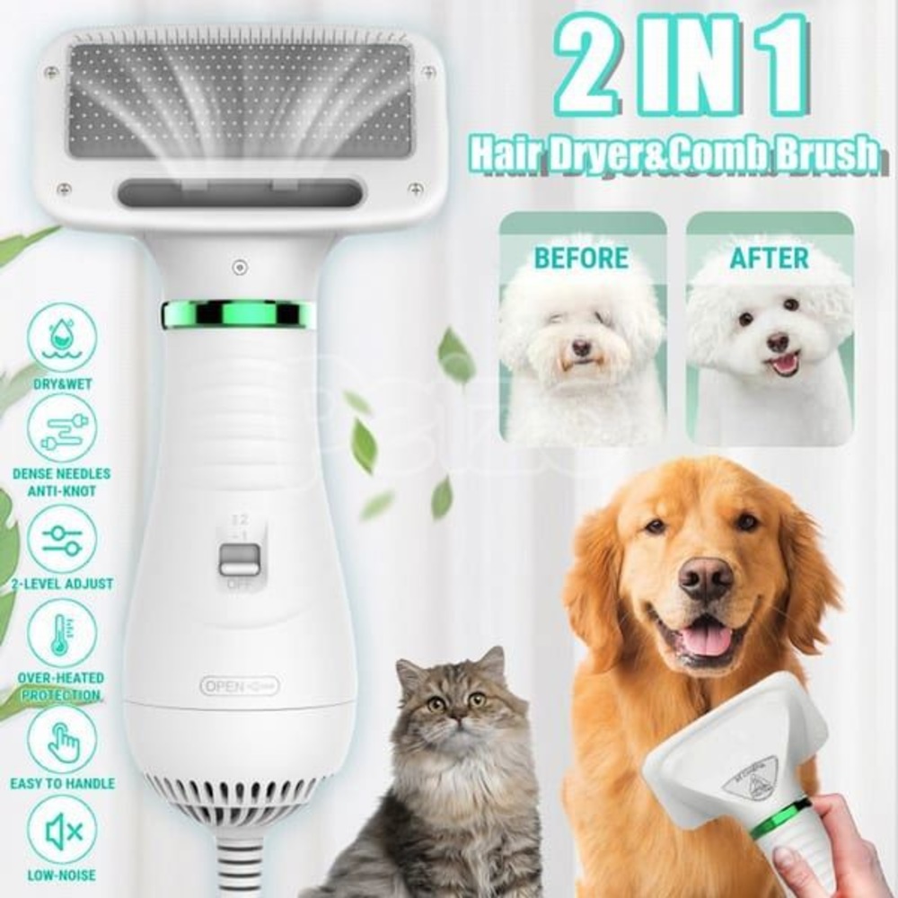 2 in 1 Hairbrush Blow Dryer Combination